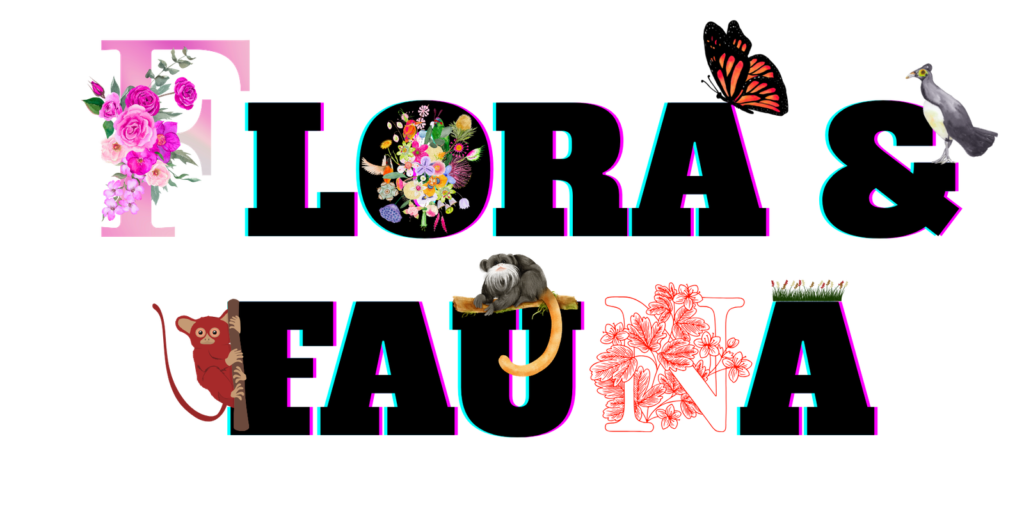 Flora-Fauna.png